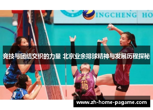 竞技与团结交织的力量 北京业余排球精神与发展历程探秘