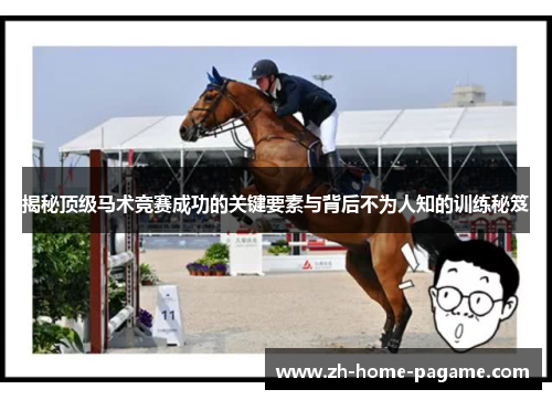 揭秘顶级马术竞赛成功的关键要素与背后不为人知的训练秘笈 揭秘顶级马术竞赛成功的关键要素与背后不为人知的训练秘笈