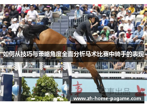 如何从技巧与策略角度全面分析马术比赛中骑手的表现 如何从技巧与策略角度全面分析马术比赛中骑手的表现