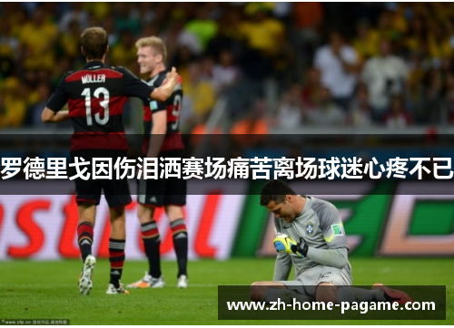 罗德里戈因伤泪洒赛场痛苦离场球迷心疼不已